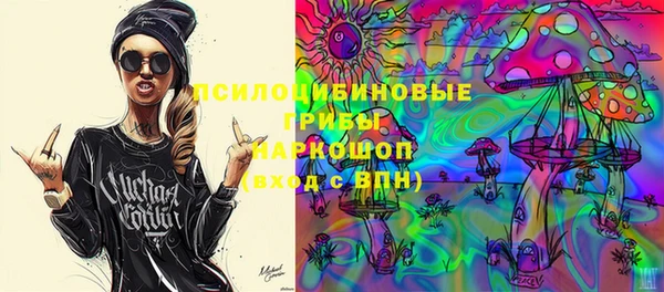 амф Аркадак