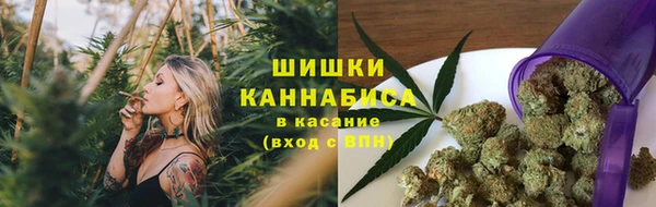 эйфоретик Баксан