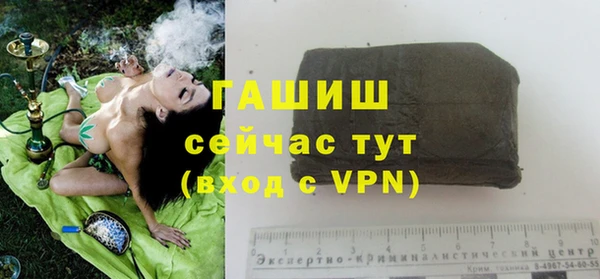 эйфоретик Баксан