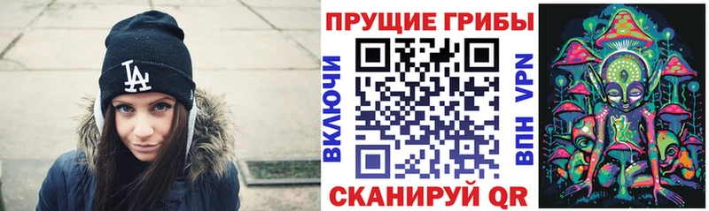 Псилоцибиновые грибы прущие грибы где продают Сельцо
